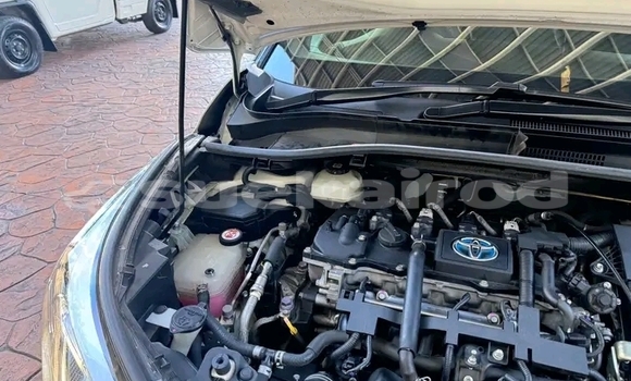 ซื้อ รถมือสอง Toyota C-HR ขาว รถยนต์ ใน %{เมือง} ใน ชัยนาท ซื้อ รถมือสอง Toyota C-HR ขาว รถยนต์ ใน %{เมือง} ใน ชัยนาท