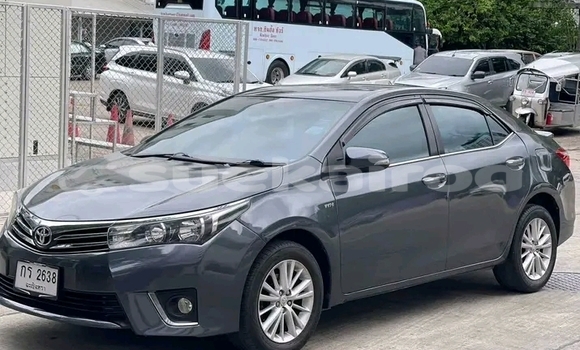 ซื้อ รถมือสอง Toyota Corolla สีดำ รถยนต์ ใน %{เมือง} ใน ชัยภูมิ ซื้อ รถมือสอง Toyota Corolla สีดำ รถยนต์ ใน %{เมือง} ใน ชัยภูมิ