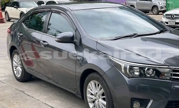 ซื้อ รถมือสอง Toyota Corolla สีดำ รถยนต์ ใน %{เมือง} ใน ชัยภูมิ ซื้อ รถมือสอง Toyota Corolla สีดำ รถยนต์ ใน %{เมือง} ใน ชัยภูมิ