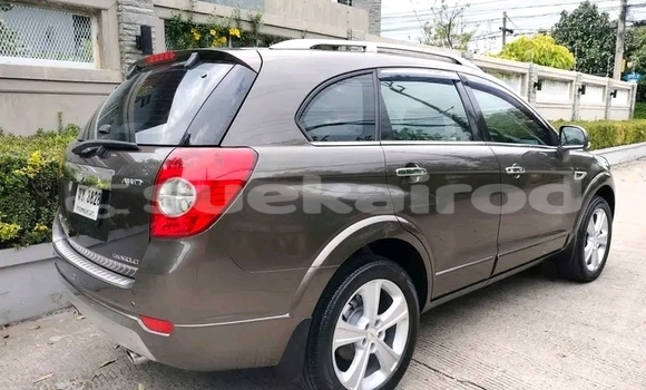 ซื้อ รถมือสอง Chevrolet Captiva สีดำ รถยนต์ ใน %{เมือง} ใน ฉะเชิงเทรา ซื้อ รถมือสอง Chevrolet Captiva สีดำ รถยนต์ ใน %{เมือง} ใน ฉะเชิงเทรา