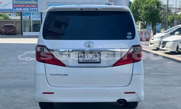 Buy Used Toyota Alphard White Car in Krabi in Krabi Buy Used Toyota Alphard White Car in Krabi in Krabi