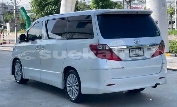 Buy Used Toyota Alphard White Car in Krabi in Krabi Buy Used Toyota Alphard White Car in Krabi in Krabi