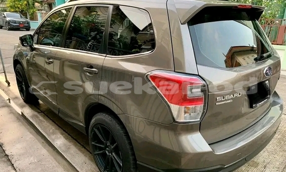 ซื้อ รถมือสอง Subaru Forester อื่น ๆ รถยนต์ ใน %{เมือง} ใน ชัยภูมิ ซื้อ รถมือสอง Subaru Forester อื่น ๆ รถยนต์ ใน %{เมือง} ใน ชัยภูมิ