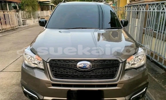 ซื้อ รถมือสอง Subaru Forester อื่น ๆ รถยนต์ ใน %{เมือง} ใน ชัยภูมิ ซื้อ รถมือสอง Subaru Forester อื่น ๆ รถยนต์ ใน %{เมือง} ใน ชัยภูมิ