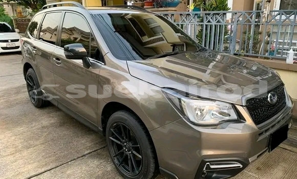ซื้อ รถมือสอง Subaru Forester อื่น ๆ รถยนต์ ใน %{เมือง} ใน ชัยภูมิ ซื้อ รถมือสอง Subaru Forester อื่น ๆ รถยนต์ ใน %{เมือง} ใน ชัยภูมิ