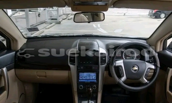 ซื้อ รถมือสอง Chevrolet Captiva สีดำ รถยนต์ ใน %{เมือง} ใน ชุมพร ซื้อ รถมือสอง Chevrolet Captiva สีดำ รถยนต์ ใน %{เมือง} ใน ชุมพร