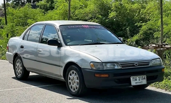 ซื้อ รถมือสอง Toyota Celsior อื่น ๆ รถยนต์ ใน %{เมือง} ใน ชุมพร ซื้อ รถมือสอง Toyota Celsior อื่น ๆ รถยนต์ ใน %{เมือง} ใน ชุมพร