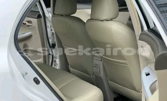 ซื้อ รถมือสอง Toyota Altis ขาว รถยนต์ ใน %{เมือง} ใน ชัยภูมิ ซื้อ รถมือสอง Toyota Altis ขาว รถยนต์ ใน %{เมือง} ใน ชัยภูมิ