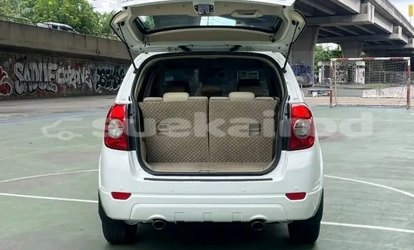 ซื้อ รถมือสอง Chevrolet Captiva อื่น ๆ รถยนต์ ใน %{เมือง} ใน ชัยภูมิ ซื้อ รถมือสอง Chevrolet Captiva อื่น ๆ รถยนต์ ใน %{เมือง} ใน ชัยภูมิ
