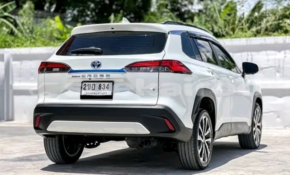 ซื้อ รถมือสอง Toyota Corolla ขาว รถยนต์ ใน %{เมือง} ใน กำแพงเพชร ซื้อ รถมือสอง Toyota Corolla ขาว รถยนต์ ใน %{เมือง} ใน กำแพงเพชร