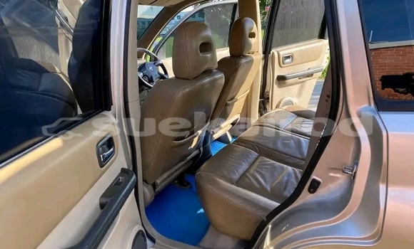 ซื้อ รถมือสอง Nissan X-Trail อื่น ๆ รถยนต์ ใน %{เมือง} ใน ชัยนาท ซื้อ รถมือสอง Nissan X-Trail อื่น ๆ รถยนต์ ใน %{เมือง} ใน ชัยนาท