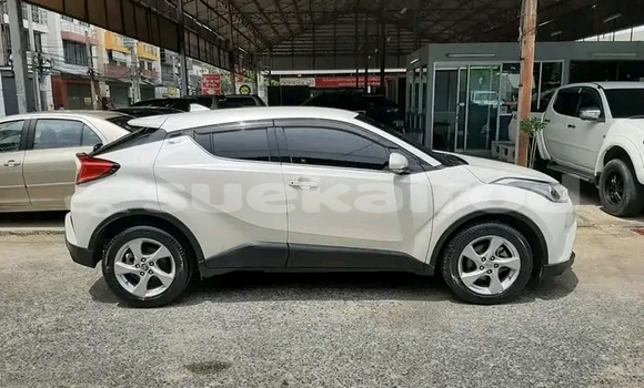 ซื้อ รถมือสอง Toyota C-HR ขาว รถยนต์ ใน %{เมือง} ใน กำแพงเพชร ซื้อ รถมือสอง Toyota C-HR ขาว รถยนต์ ใน %{เมือง} ใน กำแพงเพชร
