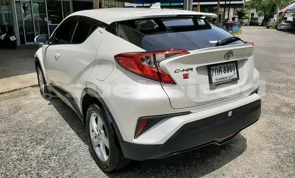 ซื้อ รถมือสอง Toyota C-HR ขาว รถยนต์ ใน %{เมือง} ใน กำแพงเพชร ซื้อ รถมือสอง Toyota C-HR ขาว รถยนต์ ใน %{เมือง} ใน กำแพงเพชร