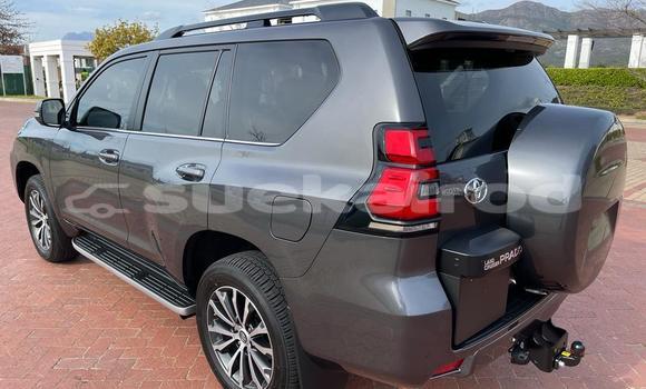 ซื้อ รถมือสอง Toyota Land Cruiser Prado สีน้ำเงิน รถยนต์ ใน %{เมือง} ใน กรุงเทพมหานคร ซื้อ รถมือสอง Toyota Land Cruiser Prado สีน้ำเงิน รถยนต์ ใน %{เมือง} ใน กรุงเทพมหานคร