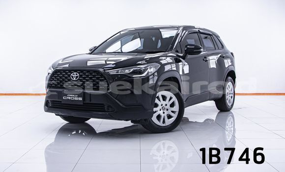 Cars for sale in thailand - suekairod