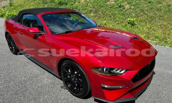 ซื้อ รถมือสอง Ford Mustang สีแดง รถยนต์ ใน %{เมือง} ใน กรุงเทพมหานคร ซื้อ รถมือสอง Ford Mustang สีแดง รถยนต์ ใน %{เมือง} ใน กรุงเทพมหานคร