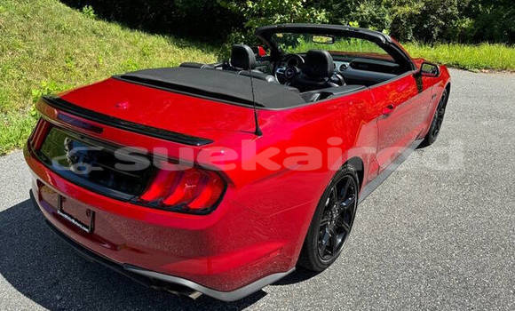 ซื้อ รถมือสอง Ford Mustang สีแดง รถยนต์ ใน %{เมือง} ใน กรุงเทพมหานคร ซื้อ รถมือสอง Ford Mustang สีแดง รถยนต์ ใน %{เมือง} ใน กรุงเทพมหานคร
