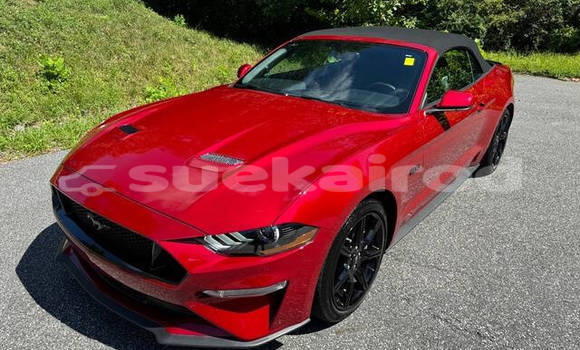 ซื้อ รถมือสอง Ford Mustang สีแดง รถยนต์ ใน %{เมือง} ใน กรุงเทพมหานคร ซื้อ รถมือสอง Ford Mustang สีแดง รถยนต์ ใน %{เมือง} ใน กรุงเทพมหานคร
