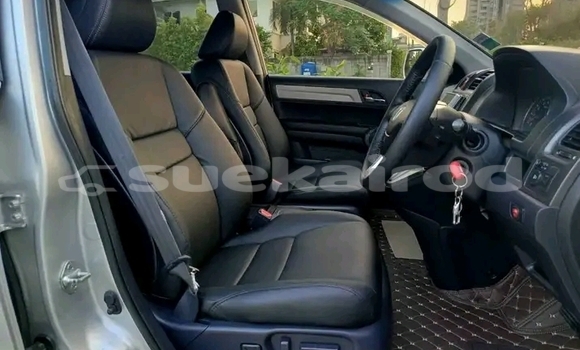 Buy Used Honda CR-V White Car in Chai Nat in Chai Nat