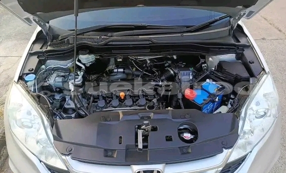 Buy Used Honda CR-V White Car in Chai Nat in Chai Nat Buy Used Honda CR-V White Car in Chai Nat in Chai Nat