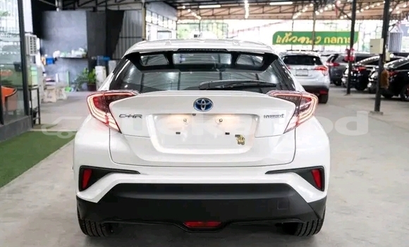 Buy Used Toyota C-HR White Car in Chonburi in Chonburi Buy Used Toyota C-HR White Car in Chonburi in Chonburi