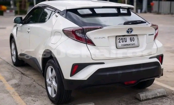 Buy Used Toyota C-HR White Car in Kalasin in Kalasin Buy Used Toyota C-HR White Car in Kalasin in Kalasin