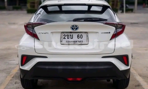 Buy Used Toyota C-HR White Car in Kalasin in Kalasin Buy Used Toyota C-HR White Car in Kalasin in Kalasin