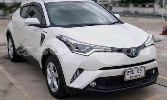 Buy Used Toyota C-HR White Car in Kalasin in Kalasin Buy Used Toyota C-HR White Car in Kalasin in Kalasin