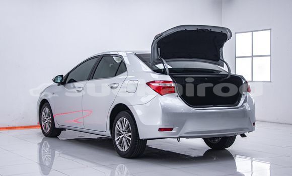 Buy Used Toyota Altis Other Car in Bangkok in Bangkok Buy Used Toyota Altis Other Car in Bangkok in Bangkok