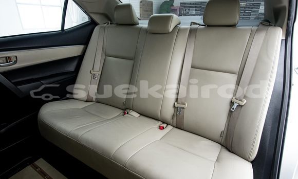 Buy Used Toyota Altis Other Car in Bangkok in Bangkok Buy Used Toyota Altis Other Car in Bangkok in Bangkok