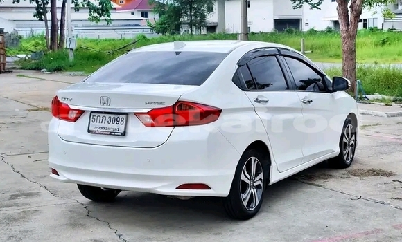 Buy Used Honda City White Car in Chai Nat in Chai Nat Buy Used Honda City White Car in Chai Nat in Chai Nat