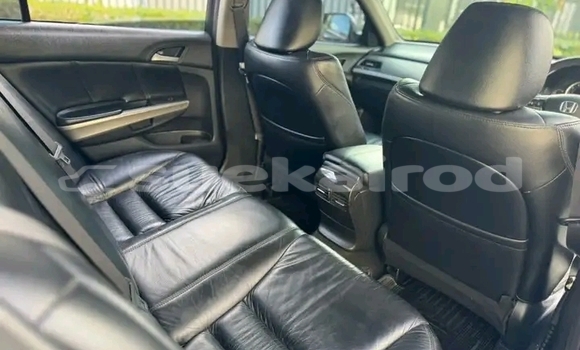Buy Used Honda Accord Black Car in Chachoengsao in Chachoengsao Buy Used Honda Accord Black Car in Chachoengsao in Chachoengsao