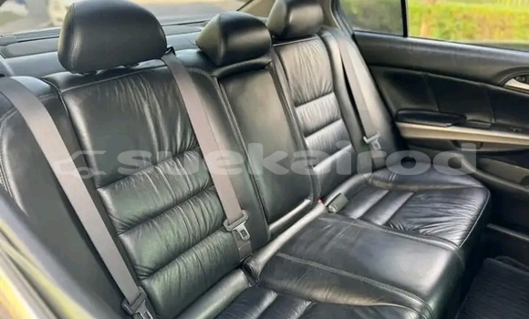 Buy Used Honda Accord Black Car in Chachoengsao in Chachoengsao Buy Used Honda Accord Black Car in Chachoengsao in Chachoengsao