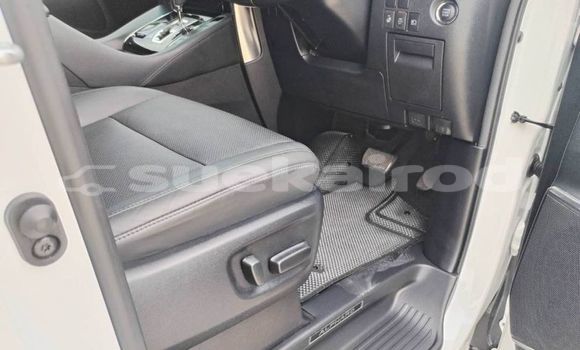 ซื้อ รถมือสอง Toyota Alphard ขาว รถยนต์ ใน %{เมือง} ใน กรุงเทพมหานคร ซื้อ รถมือสอง Toyota Alphard ขาว รถยนต์ ใน %{เมือง} ใน กรุงเทพมหานคร