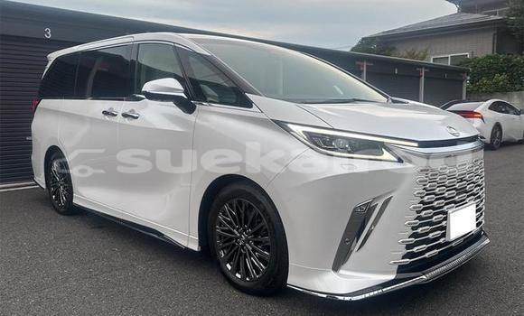 Buy Used Lexus LC White Car in Bangkok in Bangkok Buy Used Lexus LC White Car in Bangkok in Bangkok