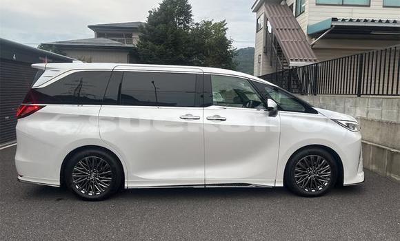 Buy Used Lexus LC White Car in Bangkok in Bangkok Buy Used Lexus LC White Car in Bangkok in Bangkok