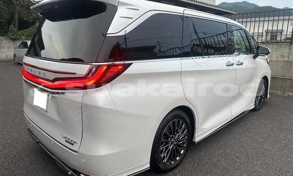 Buy Used Lexus LC White Car in Bangkok in Bangkok Buy Used Lexus LC White Car in Bangkok in Bangkok