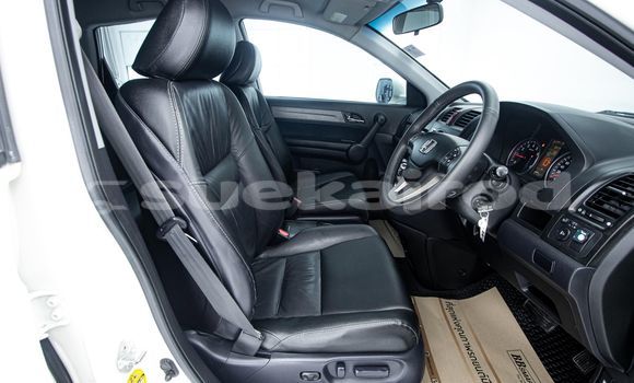 ซื้อ รถมือสอง Honda CR-V ขาว รถยนต์ ใน %{เมือง} ใน กรุงเทพมหานคร ซื้อ รถมือสอง Honda CR-V ขาว รถยนต์ ใน %{เมือง} ใน กรุงเทพมหานคร