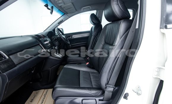 ซื้อ รถมือสอง Honda CR-V ขาว รถยนต์ ใน %{เมือง} ใน กรุงเทพมหานคร ซื้อ รถมือสอง Honda CR-V ขาว รถยนต์ ใน %{เมือง} ใน กรุงเทพมหานคร