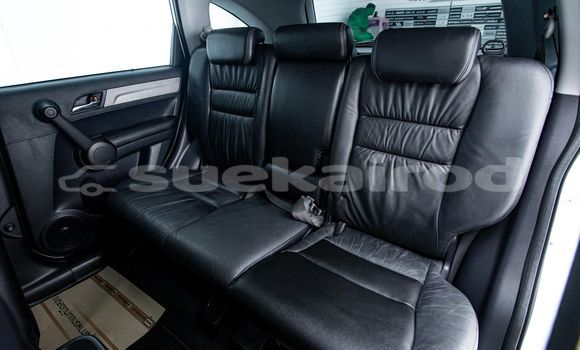 ซื้อ รถมือสอง Honda CR-V ขาว รถยนต์ ใน %{เมือง} ใน กรุงเทพมหานคร ซื้อ รถมือสอง Honda CR-V ขาว รถยนต์ ใน %{เมือง} ใน กรุงเทพมหานคร