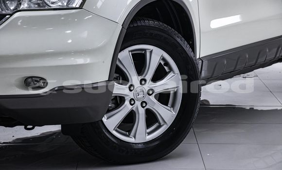 ซื้อ รถมือสอง Honda CR-V ขาว รถยนต์ ใน %{เมือง} ใน กรุงเทพมหานคร ซื้อ รถมือสอง Honda CR-V ขาว รถยนต์ ใน %{เมือง} ใน กรุงเทพมหานคร