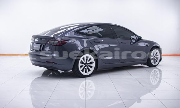 ซื้อ รถมือสอง Tesla Model 3 อื่น ๆ รถยนต์ ใน %{เมือง} ใน กรุงเทพมหานคร ซื้อ รถมือสอง Tesla Model 3 อื่น ๆ รถยนต์ ใน %{เมือง} ใน กรุงเทพมหานคร