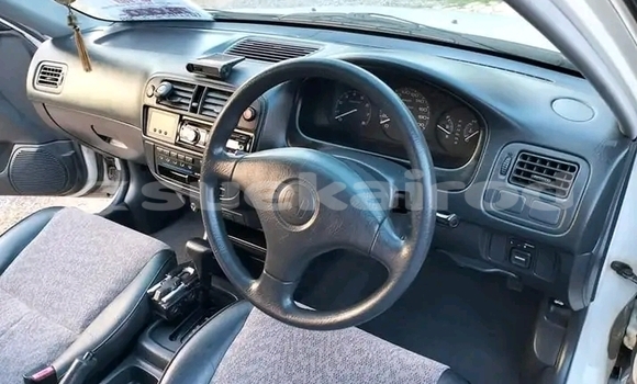 ซื้อ รถมือสอง Honda Civic ขาว รถยนต์ ใน %{เมือง} ใน ชัยภูมิ ซื้อ รถมือสอง Honda Civic ขาว รถยนต์ ใน %{เมือง} ใน ชัยภูมิ