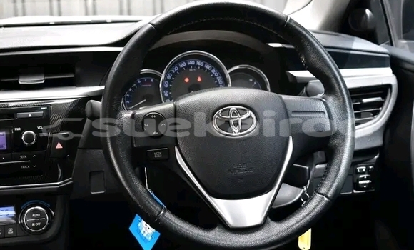 Buy Used Toyota Altis White Car in Chai Nat in Chai Nat