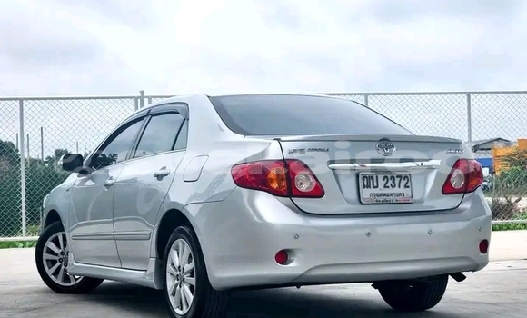 ซื้อ รถมือสอง Toyota Corolla อื่น ๆ รถยนต์ ใน %{เมือง} ใน ชัยภูมิ ซื้อ รถมือสอง Toyota Corolla อื่น ๆ รถยนต์ ใน %{เมือง} ใน ชัยภูมิ