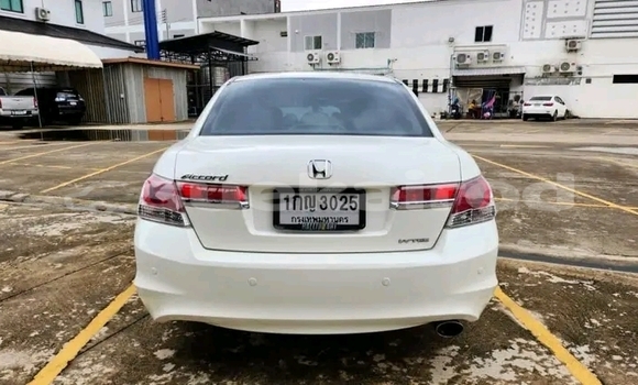 ซื้อ รถมือสอง Honda Accord ขาว รถยนต์ ใน %{เมือง} ใน กาฬสินธุ์ ซื้อ รถมือสอง Honda Accord ขาว รถยนต์ ใน %{เมือง} ใน กาฬสินธุ์