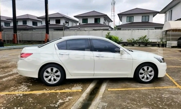 ซื้อ รถมือสอง Honda Accord ขาว รถยนต์ ใน %{เมือง} ใน กาฬสินธุ์ ซื้อ รถมือสอง Honda Accord ขาว รถยนต์ ใน %{เมือง} ใน กาฬสินธุ์