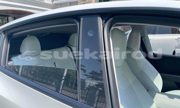 ซื้อ รถมือสอง Tesla Model X ขาว รถยนต์ ใน %{เมือง} ใน กรุงเทพมหานคร ซื้อ รถมือสอง Tesla Model X ขาว รถยนต์ ใน %{เมือง} ใน กรุงเทพมหานคร