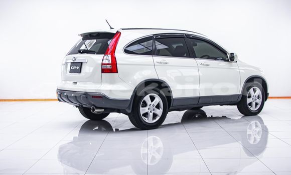 ซื้อ รถมือสอง Honda CR-V ขาว รถยนต์ ใน %{เมือง} ใน กรุงเทพมหานคร ซื้อ รถมือสอง Honda CR-V ขาว รถยนต์ ใน %{เมือง} ใน กรุงเทพมหานคร