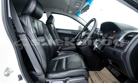 ซื้อ รถมือสอง Honda CR-V ขาว รถยนต์ ใน %{เมือง} ใน กรุงเทพมหานคร ซื้อ รถมือสอง Honda CR-V ขาว รถยนต์ ใน %{เมือง} ใน กรุงเทพมหานคร